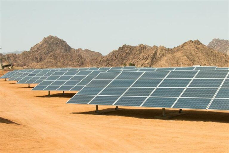 41_2022-637803478521682532-168