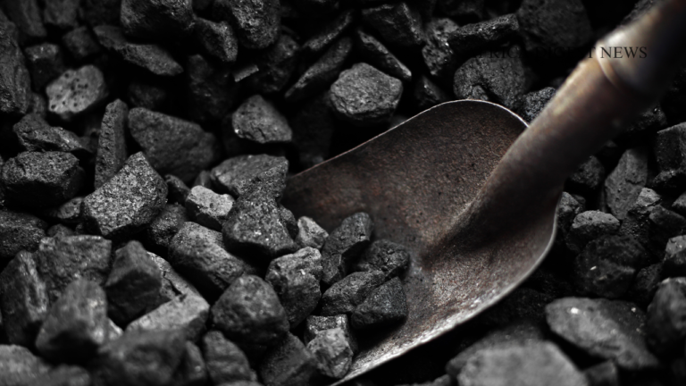 AFRICA DIGEST NEWS (12)