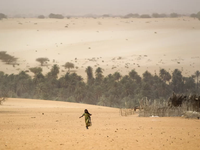 Heatwave in West Africa's Sahel Region Causes Concern
