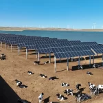 000_36dk4ru-1200x749