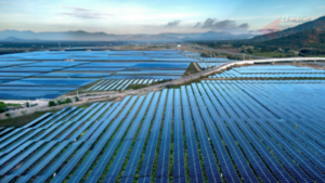 Climate-Smart Agriculture (19)