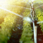 Top Finance Apps on Google Play Store Kenya (3)