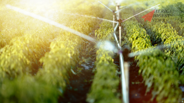 Top Finance Apps on Google Play Store Kenya (3)